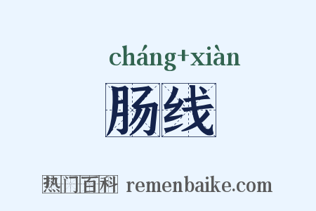 肠线是什么意思的图片